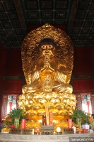 12_img3884.jpg