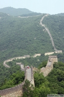 13_img3987.jpg